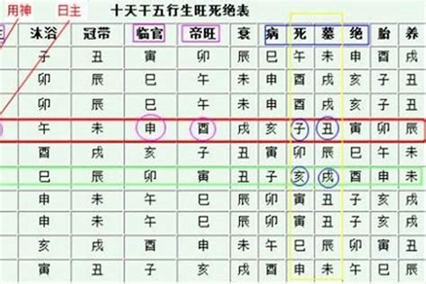 身旺身弱判定|身旺・身中・身弱が判断できますか？ 